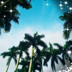 Meet your Posher, Simona